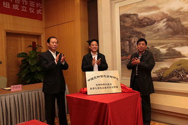 文化遺產(chǎn)保護進入數(shù)字化發(fā)展快車道